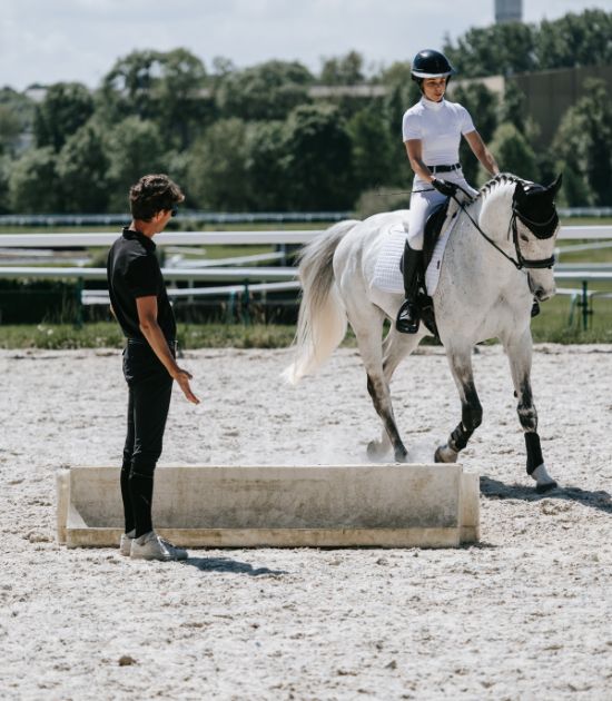 coaching concours