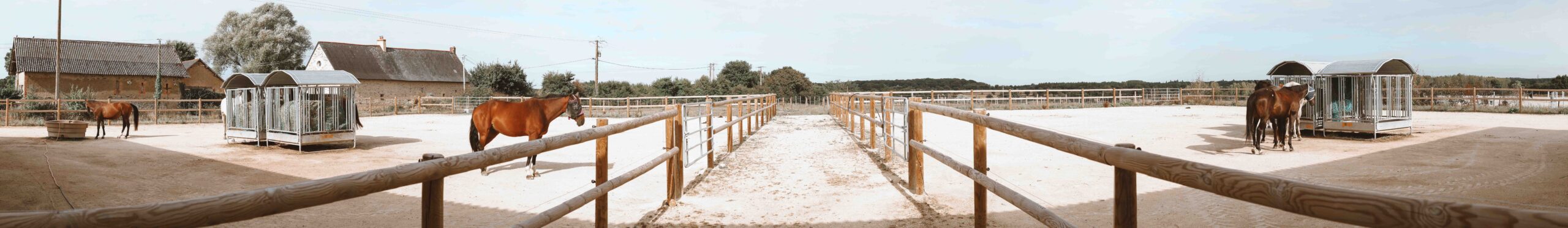 Ecurie active Feneu