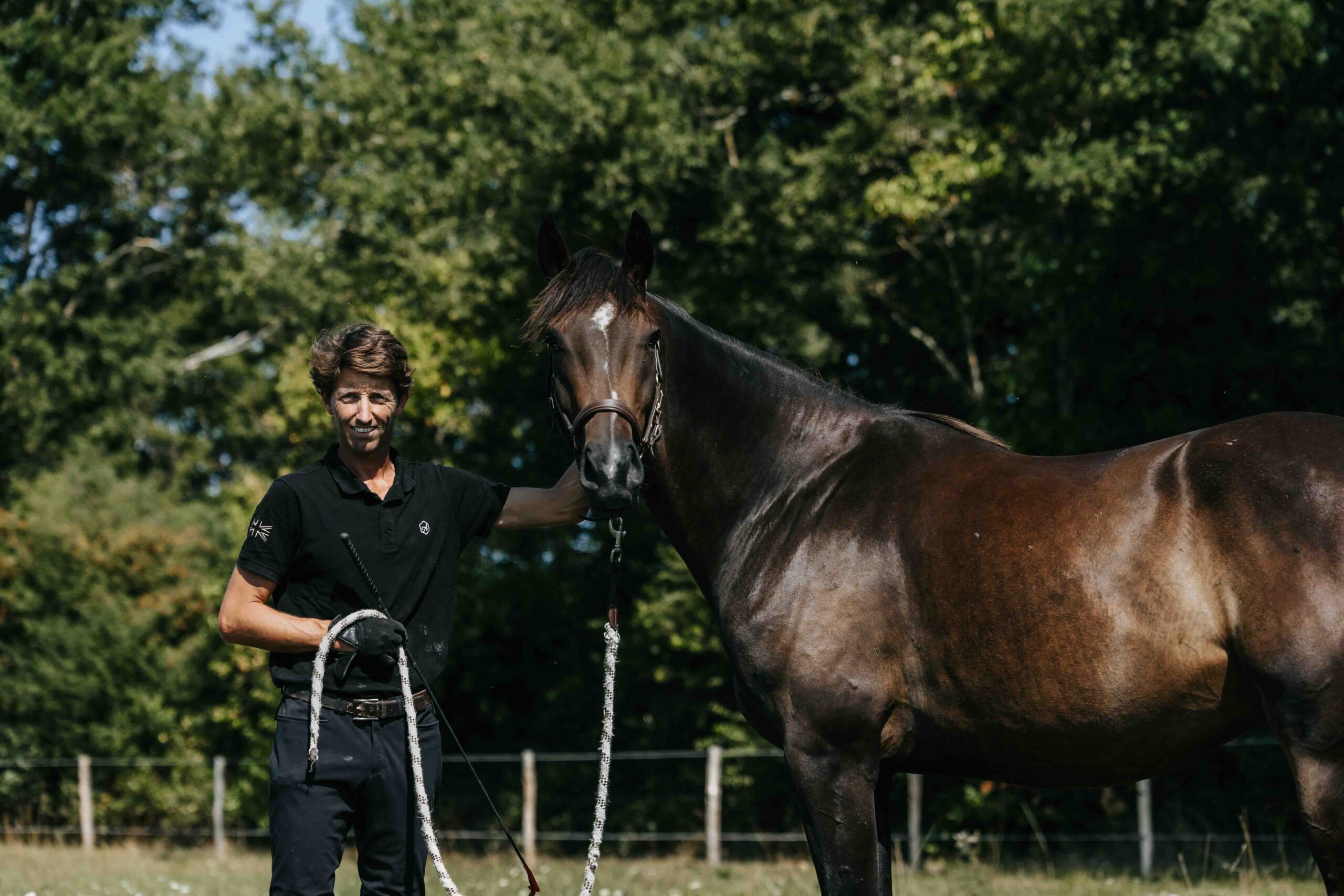 Valorisation et commerce de chevaux de sport